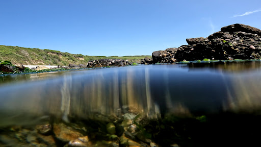 Cows Beach - Visual