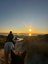 Photo n°34 de Centre Equestre des Dunes Erdeven à Erdeven (Centre équestre)