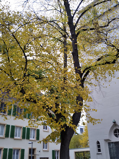 Kath. Kirche St. Konrad und Elisabeth - Thumbnail