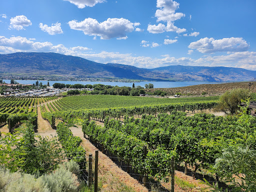 NK'MIP Cellars - Visual