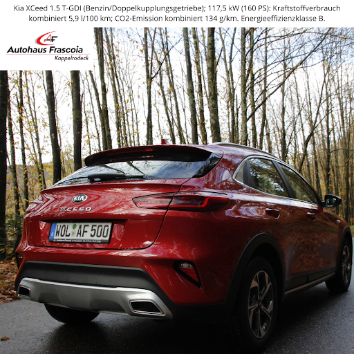 Autohaus Frascoia GmbH & Co. KG - Thumbnail