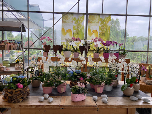 Zonser Gartencenter - Thumbnail