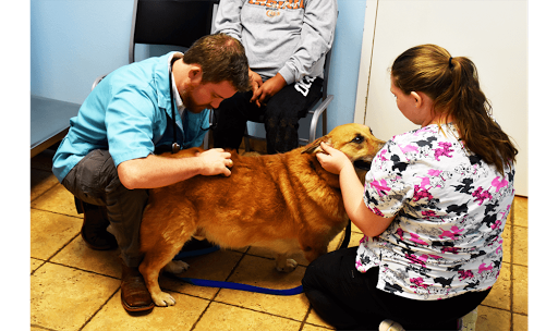 O'Connor Road Animal Hospital