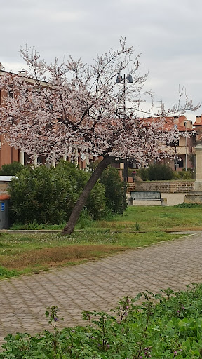 Piazza Ivan Iori - Thumbnail