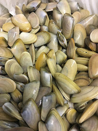 Photo n°9 de Restaurant de nuit Il Padrino à Valras-Plage (Pizzeria)