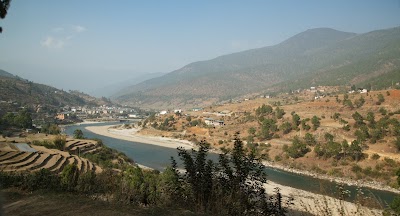 Photos of 레스토랑