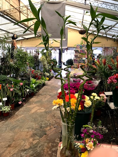 Las Camelias - Vivero y Floreria, Buenos Aires, Argentina