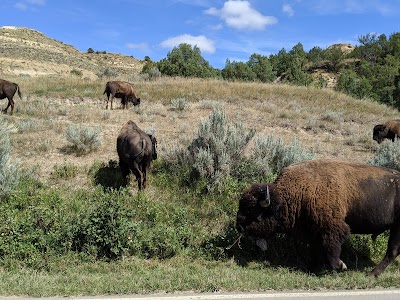 Theodore Roosevelt National Park