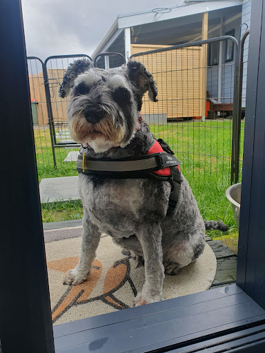 Pooch Pamper Inn