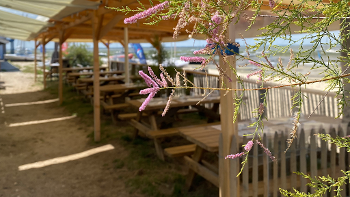 Photo de Le Shed Dégustation à Lanton (33138)