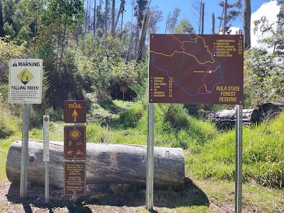 Kula Forest Reserve