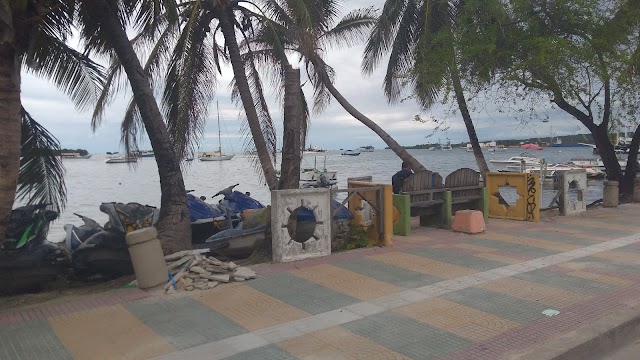 Coco Loco
