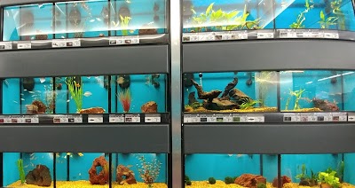 Petco