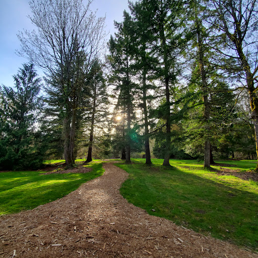 Smith Woods - Visual