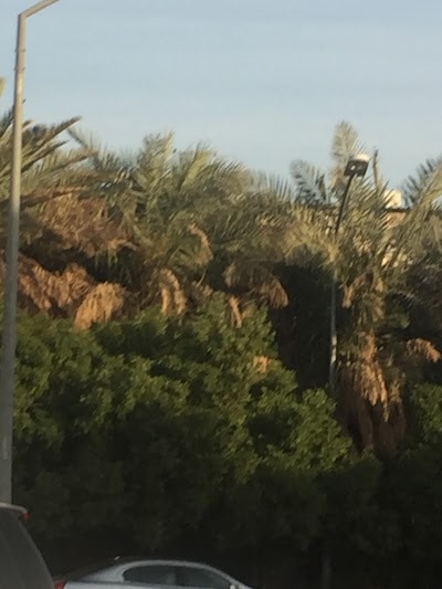 Photos of Farm Albgajan