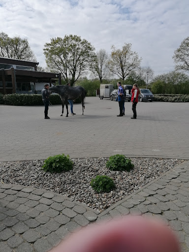 Pferdeklinik Bargteheide - Thumbnail
