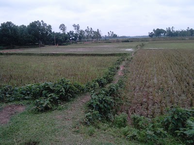 Photos of CHAMBULIYA