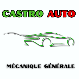 Photo n°22 de Castro Auto à Périgny (Mécanicien)