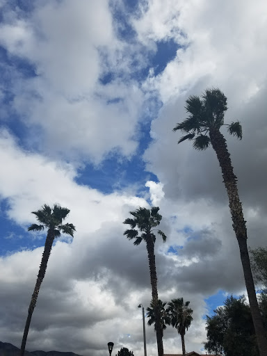 Col Lewis Millett Park - Thumbnail
