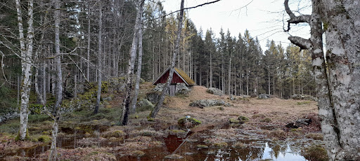 Månsas - Visual