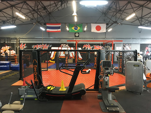 Tek Gym