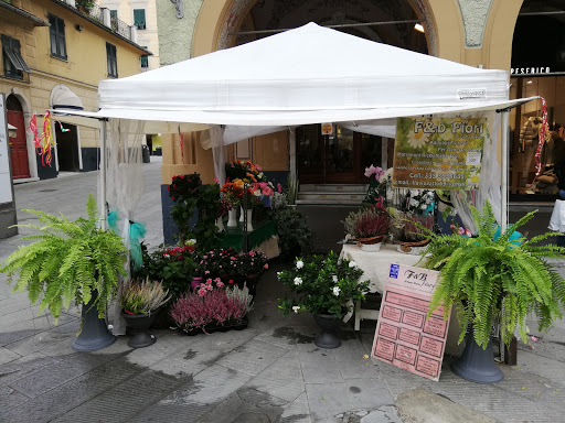 F&B fiori di Gatto Flavio