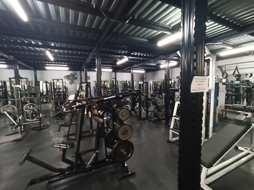 Muscle Factory S.n.c Palestra Attrezzata