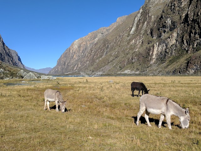 Parc national de Huascarán