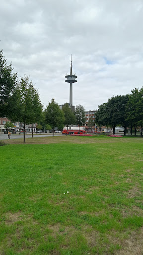 Wesel - Visual