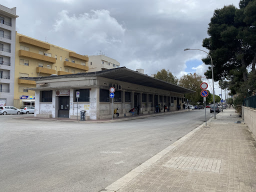 Fermata bus segesta aeroporto