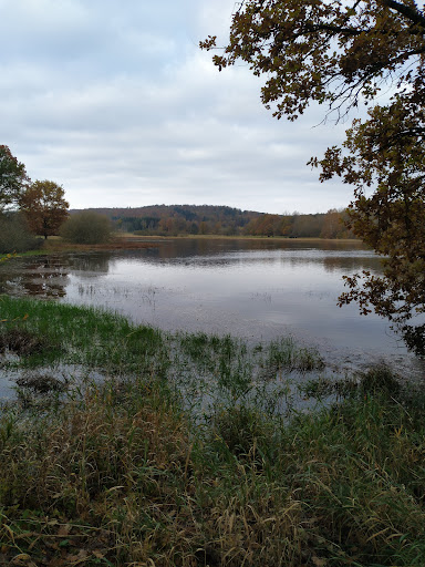 Schalksbachteiche - Visual