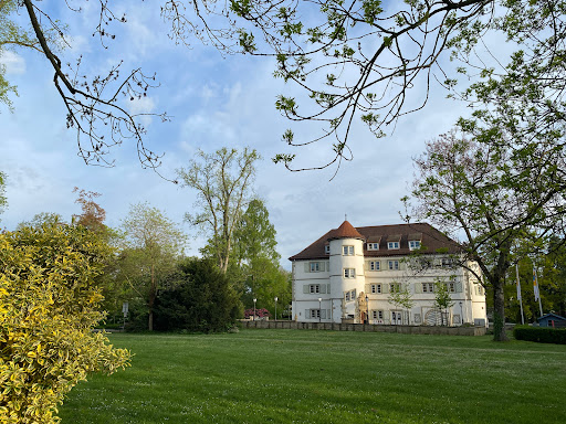 Kunstverein Wasserschloss Bad Rappenau e.V. - Thumbnail