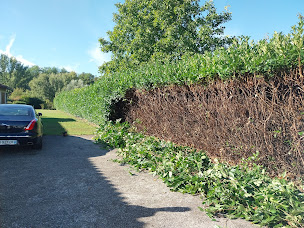 Photo n°6 de TOLLET JEAN Elagage 33 Saint Savin à Saint-Savin (Service d'élagage)