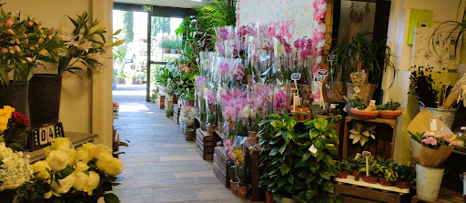 La Maison Du Fleuriste - Thumbnail