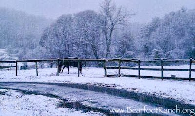 Photos of Bearfoot Ranch