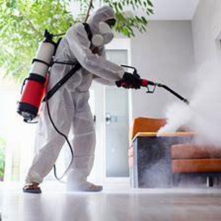 Jopestkil Fumigation and Pest Control Services Company - Kitale - Jopestkil  Fumigation and Pest Control Services Company - Kitale