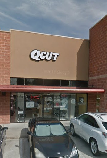 Q Cut - Visual