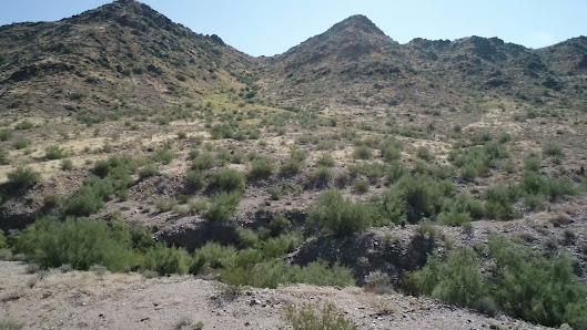 Photo 4 de San Tan Mountain Regional Park from Goldmine Trailhead