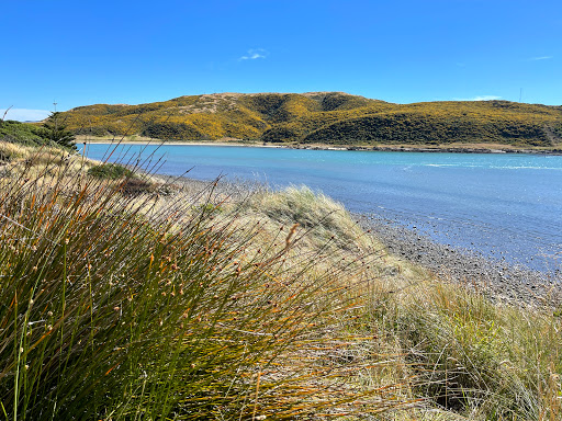 Ngati Toa Domain - Thumbnail