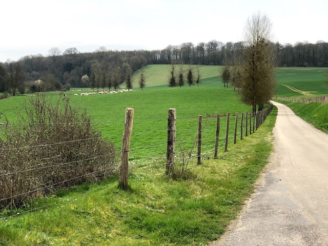 Abbaye de Mortemer