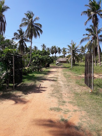 Photos of The Lagoon Village Hotel Norocholai