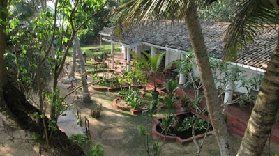 Photos of Palm Villa