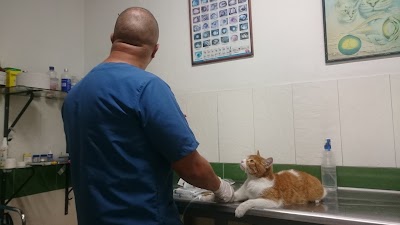 Photos of Veterinaria Car&aacute;cas