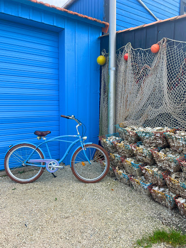 Beach Bikes - La Cotinière - Location de Vélo