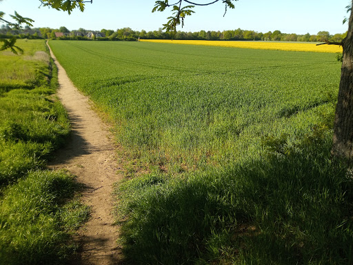 Wanderweg am Waldfriedhof
