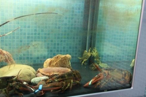 PESCHERIA LA RETE - Thumbnail