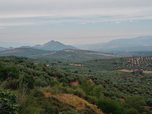 Cortijo Vista Alegre - Thumbnail