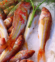 Photo n°2 de Poissonnerie la Mer à Pélissanne (Marché aux poissons et fruits de mer)