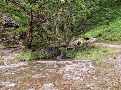 Elan Valley Waterfall Trail - Thumbnail