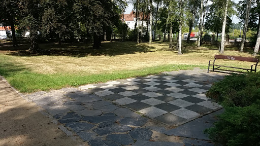 Birkenwäldchen - Thumbnail